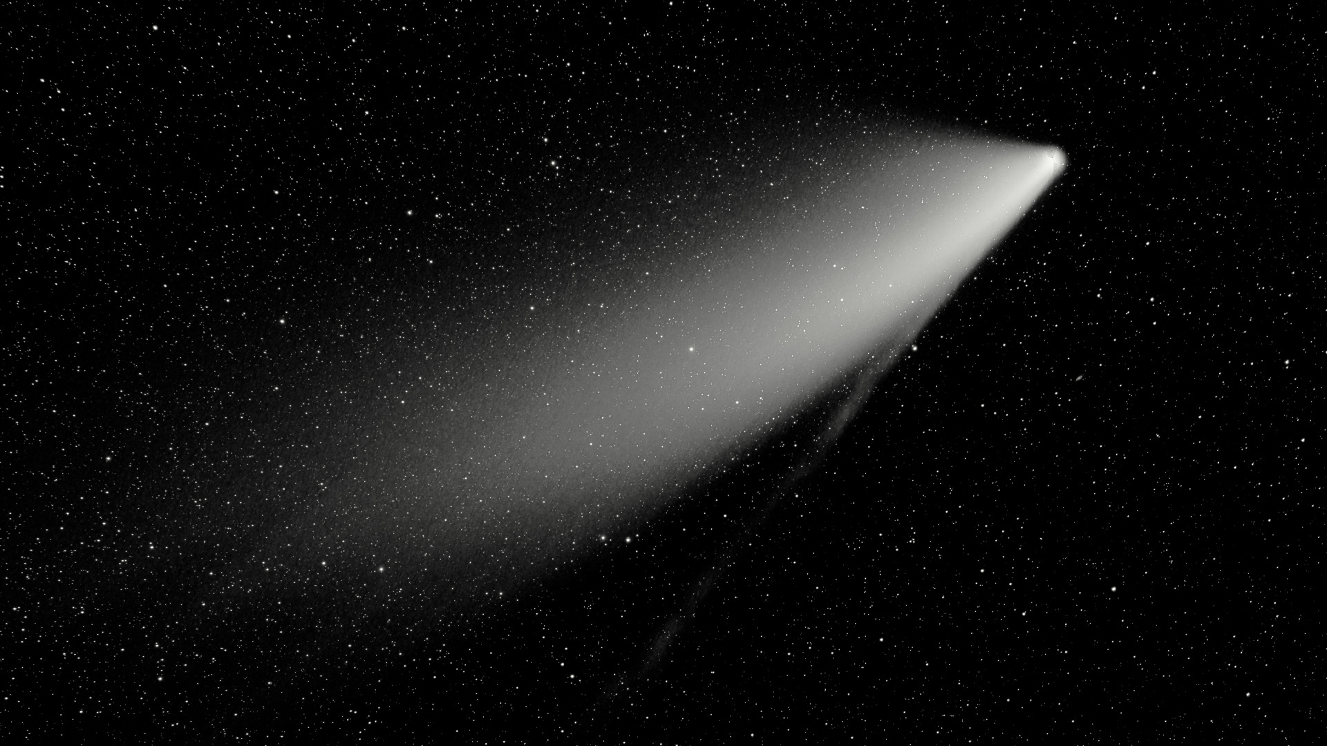 Agence digitale Napoleon Business Development a Marseille